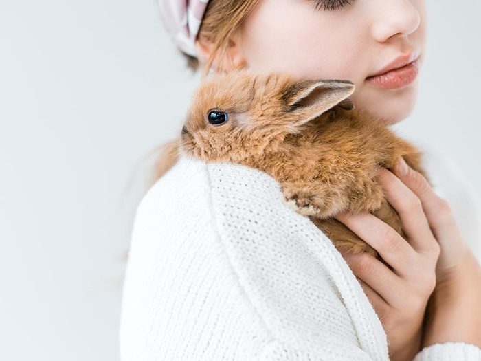 Comment s'occuper d'un lapin: apprenez à bien le soulever.