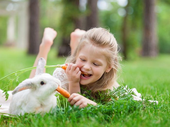 Comment s'occuper d'un lapin: bien choisir sa nourriture.
