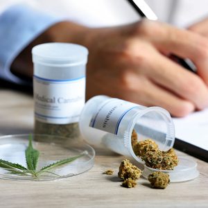 L'usage médical du cannabis dans le cas de douleurs chroniques.