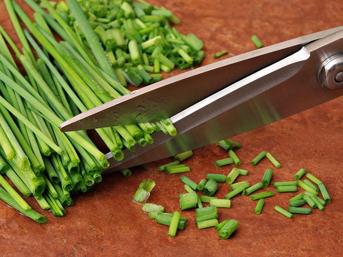 Pour cuisiner rapidement, utiliser un ciseau pour vos herbes aromatiques.