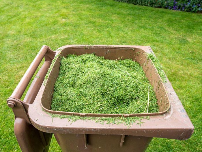 Conseil d’entretien de la pelouse: laissez le gazon coupé sur le terrain.