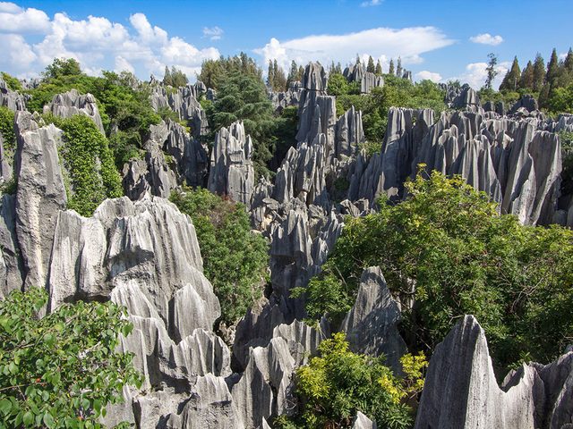 La fort de pierres de Shilin en Chine est l'une des plus belles formations rocheuses naturelles  travers le monde.