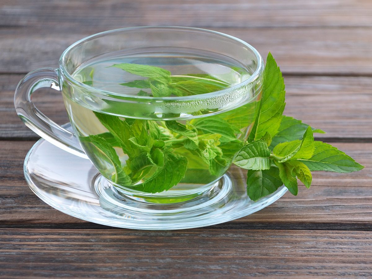 Thé à la menthe maison : comment faire du thé à la menthe ?