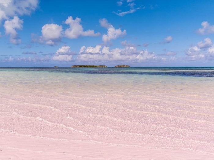 Plus belle plage du monde: Pink Sands Beach.