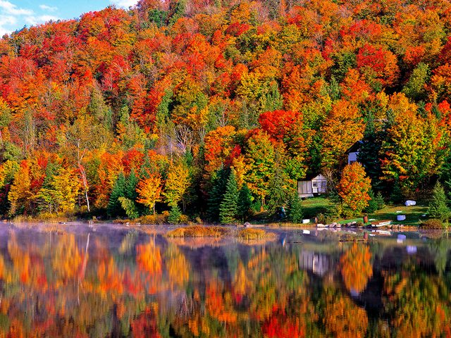 L'automne est dfinitivement la saison des couleurs.