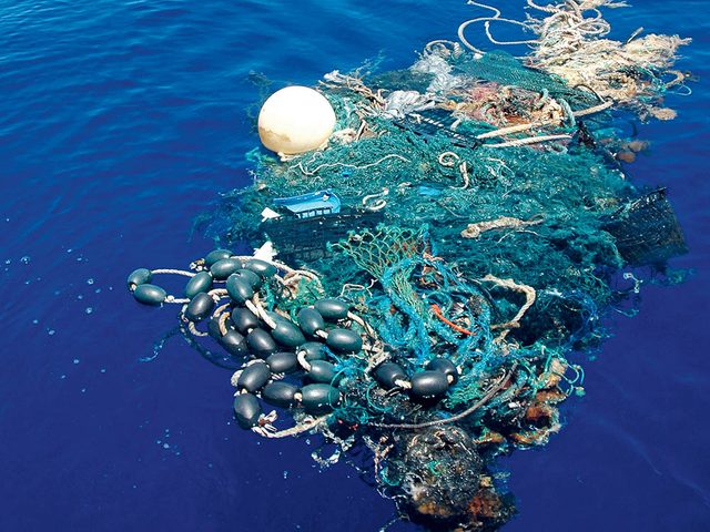 La pollution marine est en grande partie due au plastique.