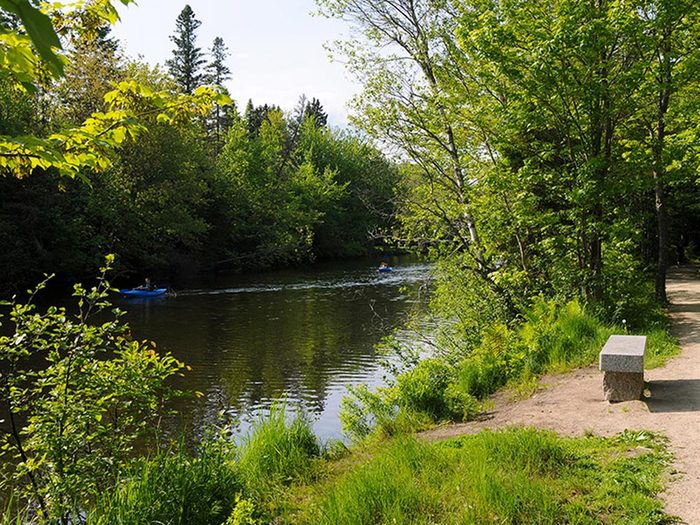 Profitez d'une randonnée pédestre au parc linéaire de la rivière Saint-Charles.