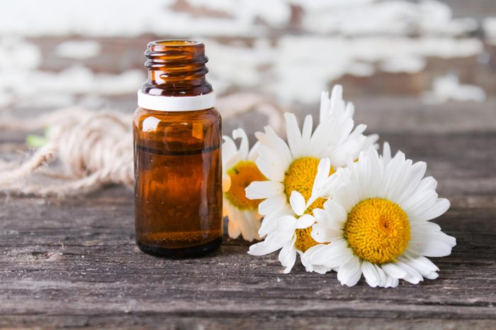 Huiles essentielles pour soulager les crampes menstruelles: L’huile de camomille romaine