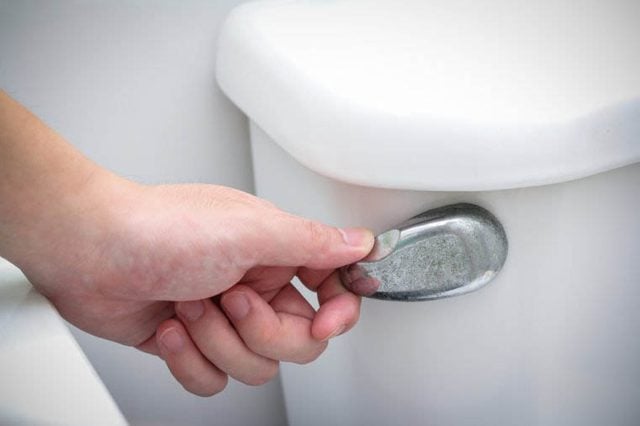 Les microbes se propage dans toute la pice si vous laissez le couvercle des toilettes relev.
