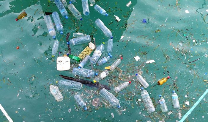 La plastique créé Les piles des déchets flottants.