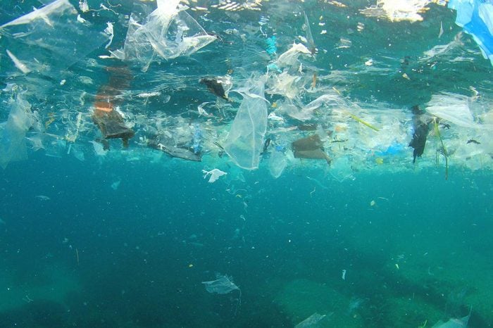 Le plastique endommage la vie marine.