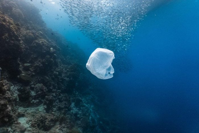 Le plastique menace les océans.