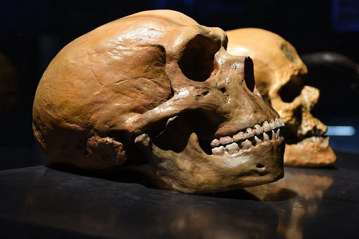 Selon les découvertes scientifiques de l’année, Néandertaliens et Denisoviens se seraient métissés.