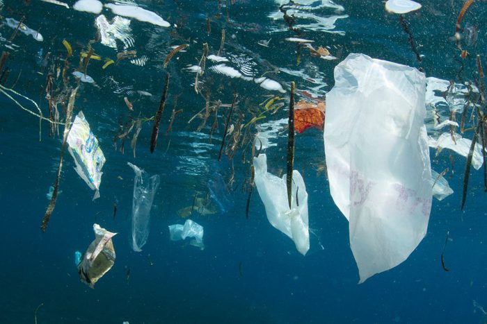 Le projet Ocean Cleanup, qui veut nettoyer le plastique dans le Pacifique, représente une des découvertes scientifiques de l’année.
