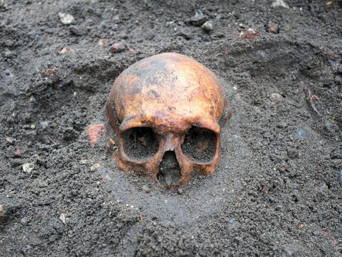 Mystères non résolus de l'année : des ossements sont retrouvés dans le sous-sol