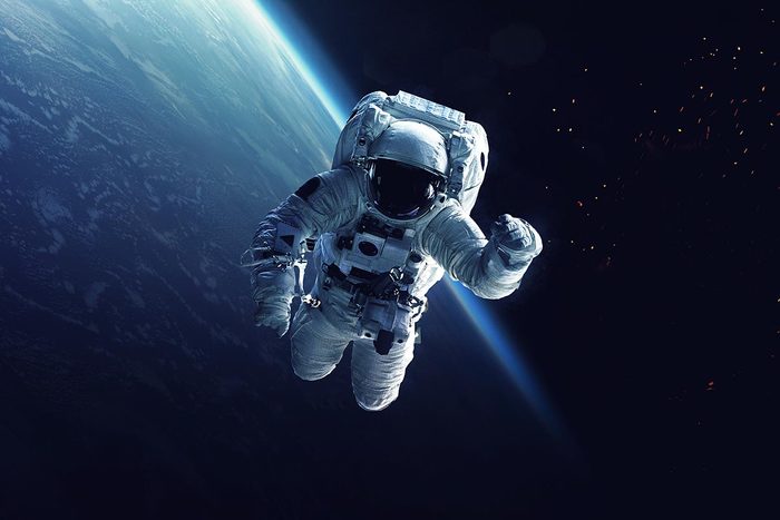 La spiruline pourrait être une source de nutriment pour les astronautes.