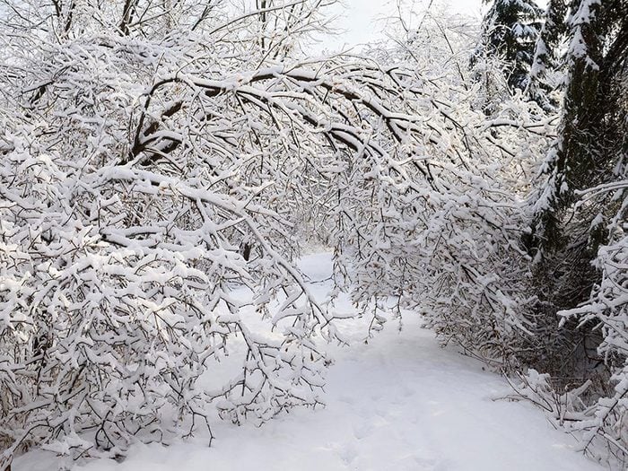 En décembre 1944 s'est déroulée l'une des pires tempêtes de neige du Québec et du Canada.