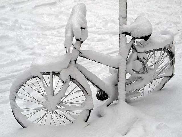 En avril 2003 s'est droule l'une des pires temptes de neige du Qubec et du Canada.