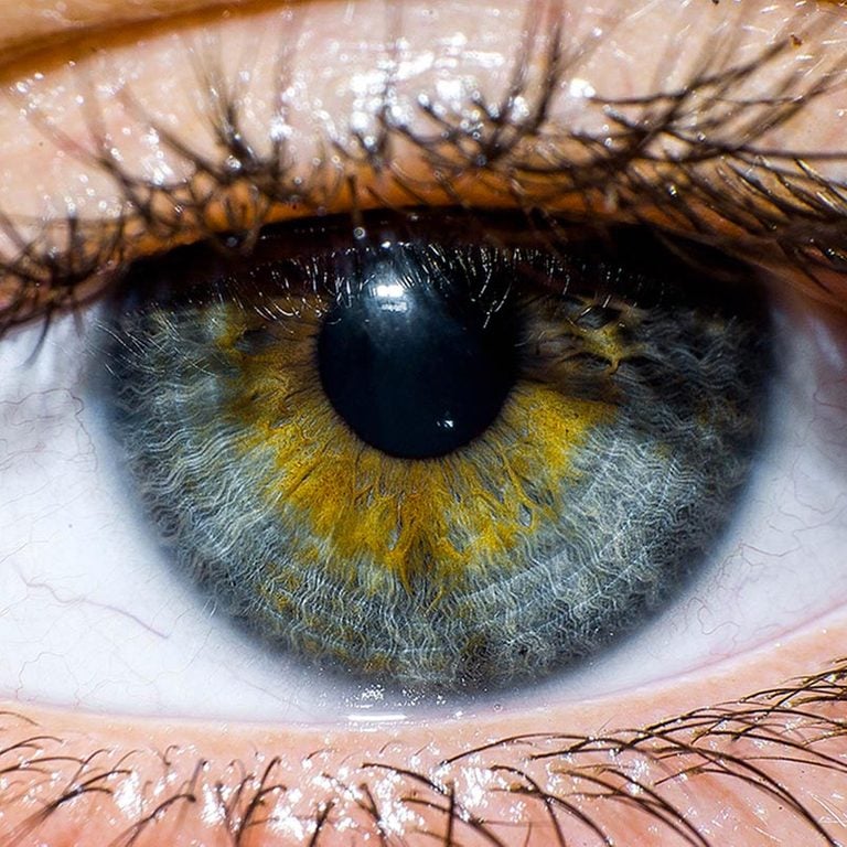 Santé des yeux: Soins et prévention pour la santé oculaire