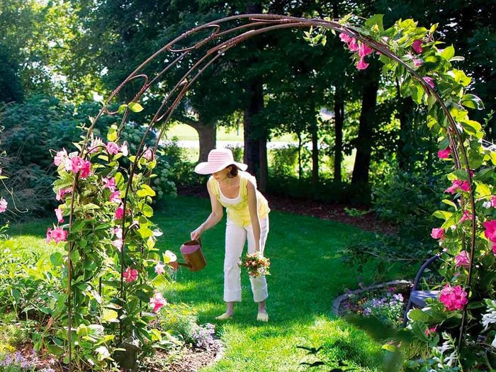 Aménagement paysager: ayez une vue d’ensemble de votre jardin.