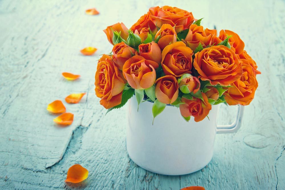 Couleurs de roses : orange pour le désir et la passion.