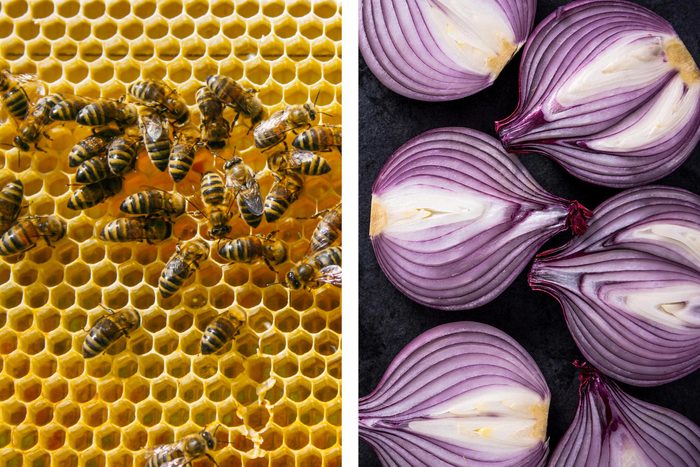 Avec un oignon, soulagez les piqûres d'abeille.