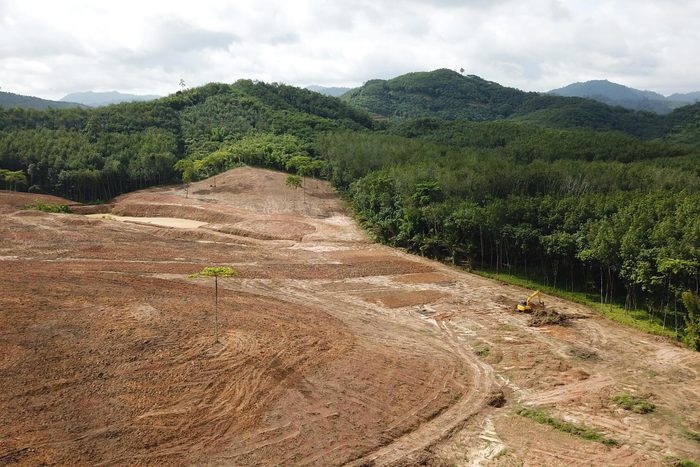 Production de papier : la déforestation contribue au réchauffement de la planète.