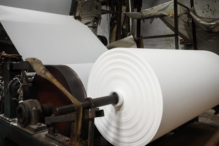 La fabrication du papier contribue à la pollution de l’eau.