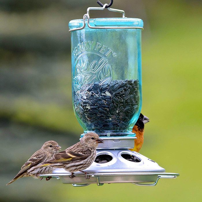 Sauver la planète : créez une mangeoire pour oiseaux à l'aide de pots Mason.