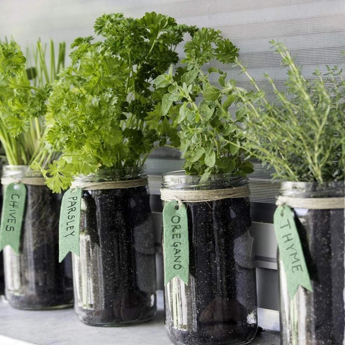 Sauver la planète : cultivez des herbes aromatiques avec ces pots Mason.