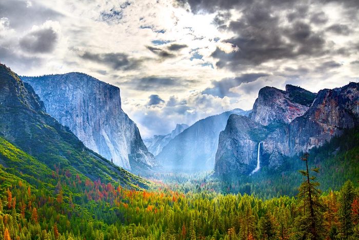 Idée de voyage : le parc national de Yosemite en Californie.