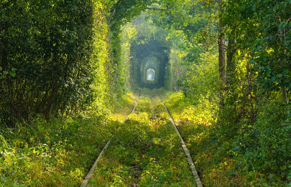 Idée de voyage : le tunnel de l’amour de Klevan en Ukraine.