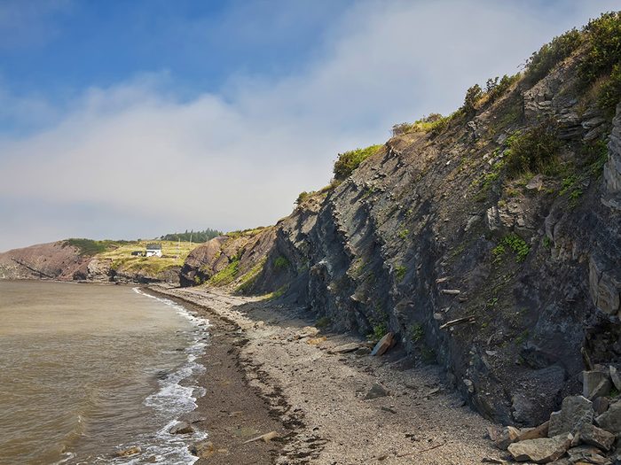 Voyage dans les Maritimes: visiter les falaises fossilifères de Joggins en Nouvelle-Écosse.
