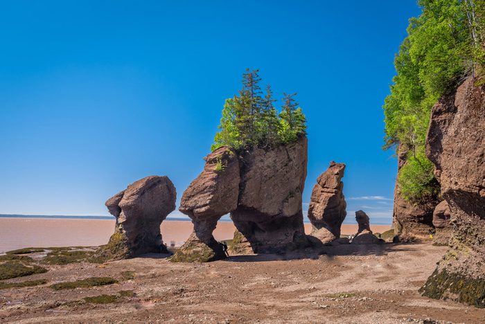Voyage dans les Maritimes: les rochers Hopewell au Nouveau-Brunswick.