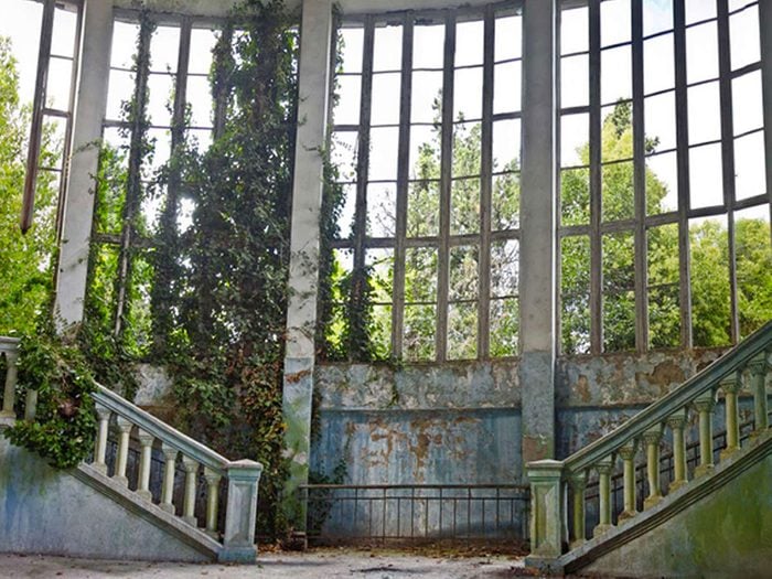 Cette maison abandonnée envahie par les plantes aurait bien besoin d'être restaurée.