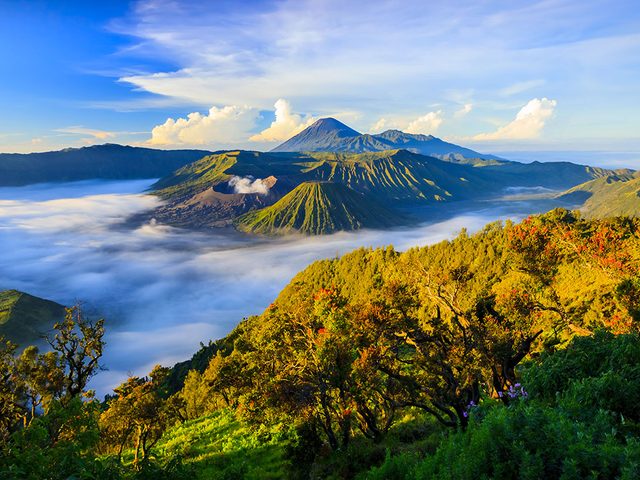 Le parc national de Bromo-Tengger-Semeru en Indonsie, Asie du Sud Est.