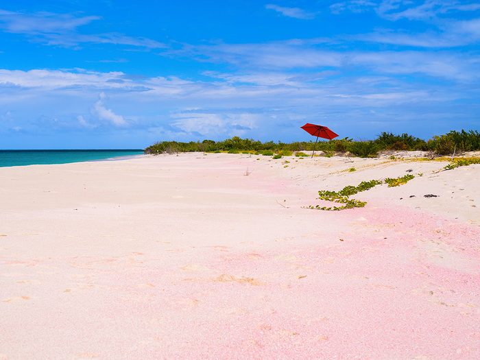 La plage de Low Bay à Barbuda est une des plus belles plages du monde.