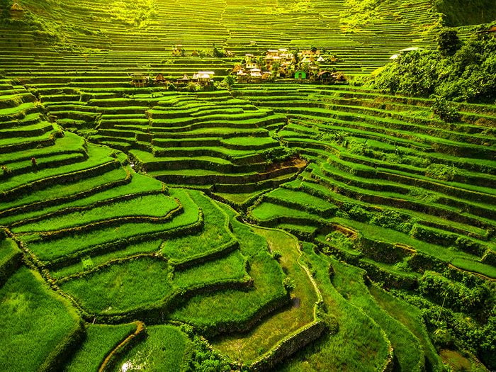 Les rizières en terrasses d'Ifugao aux Philippines sont incontournables en Asie du Sud-Est.