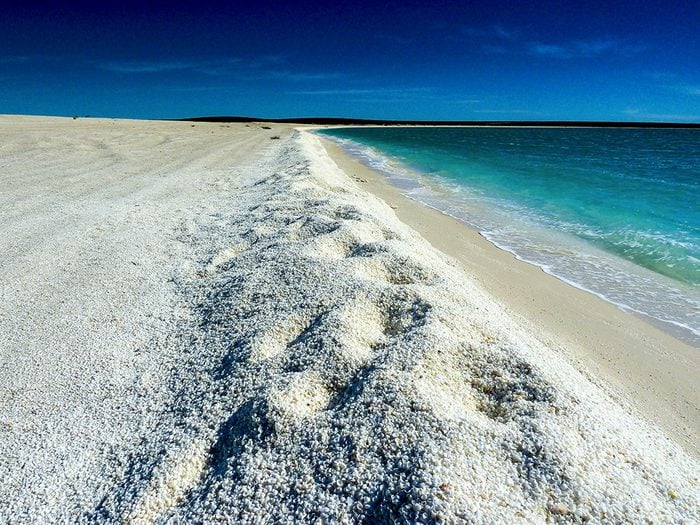 Shell Beach en Australie est une des plus belles plages du monde.