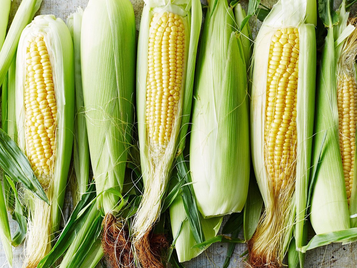 Le maïs fait partie des aliments riches en antioxydants.