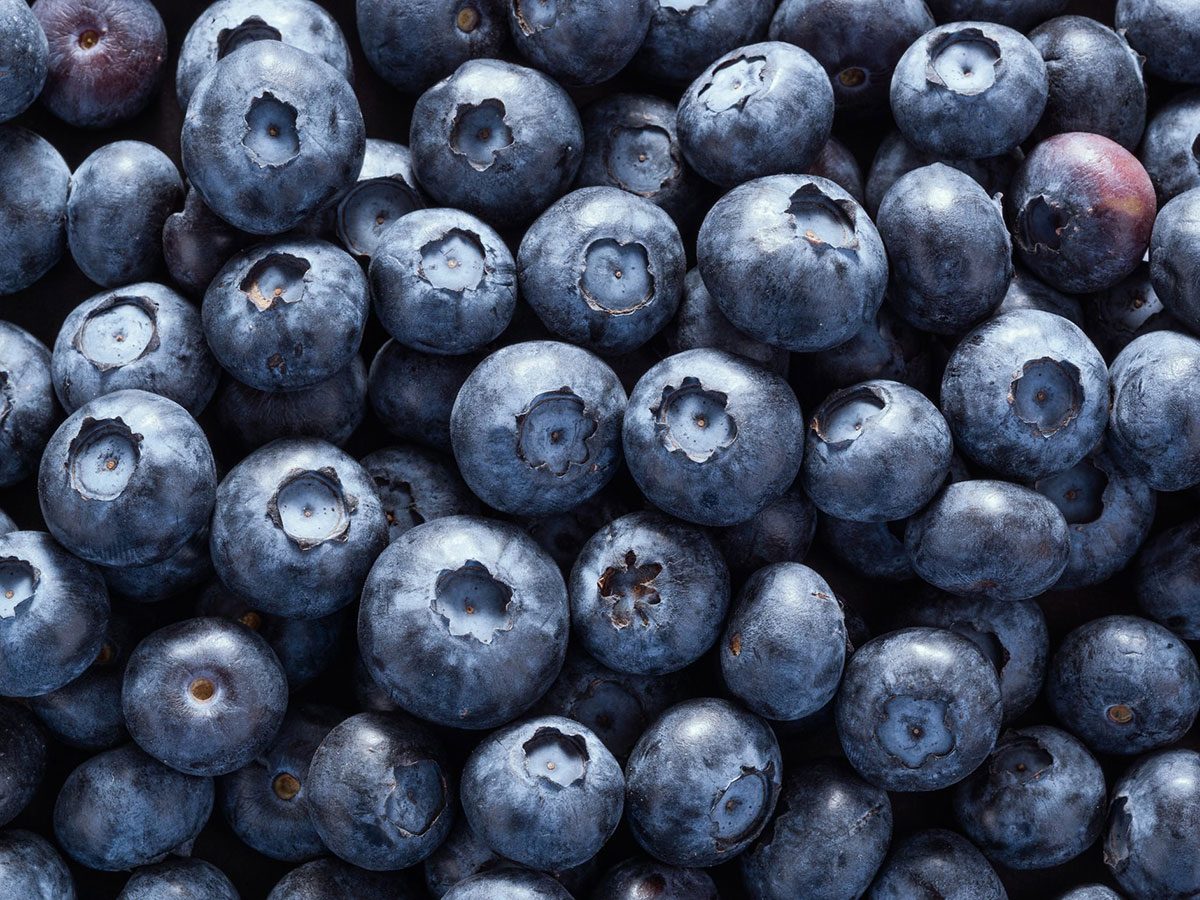 Les bleuets font partie des aliments riches en antioxydants.