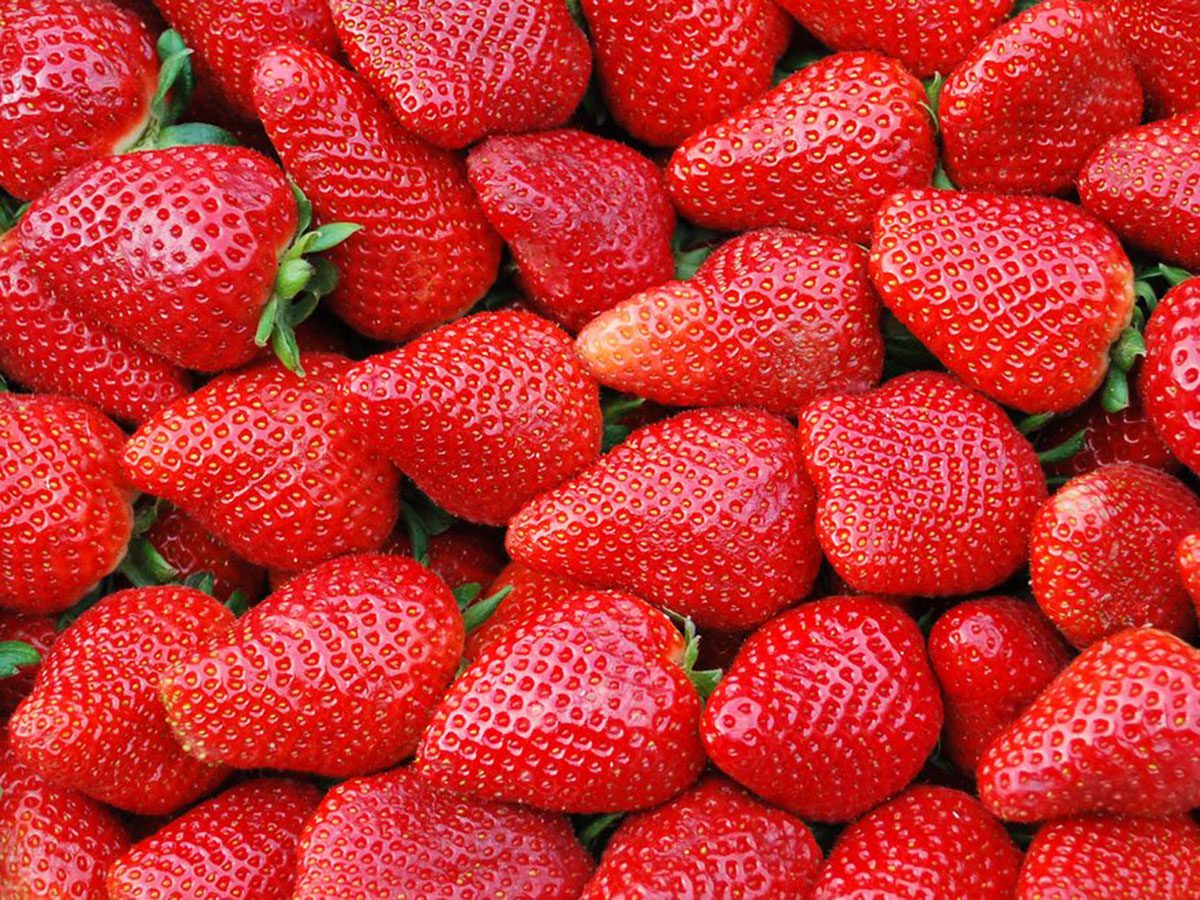 es fraises font partie des aliments riches en antioxydants.