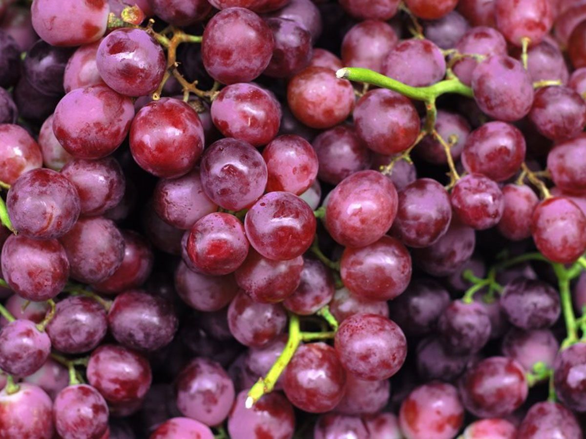Les raisins rouges font partie des aliments riches en antioxydants.
