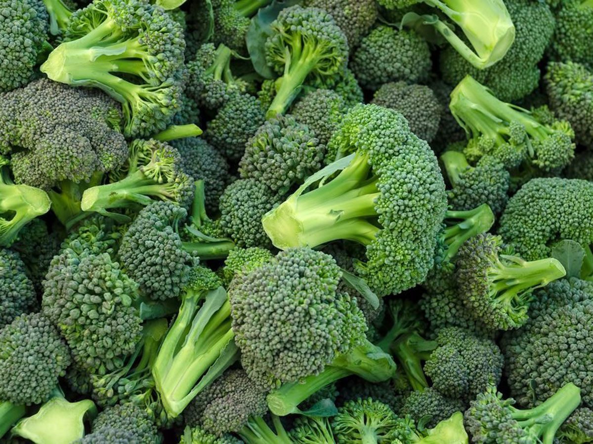 Le brocoli fait partie des aliments riches en antioxydants.
