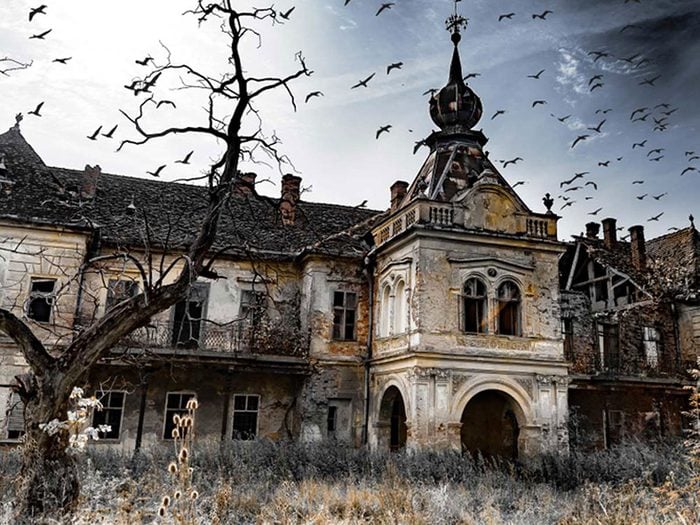 Ce palais de prince charmant fait partie des 50 maisons abandonnées qui ont besoin d’être restaurées.