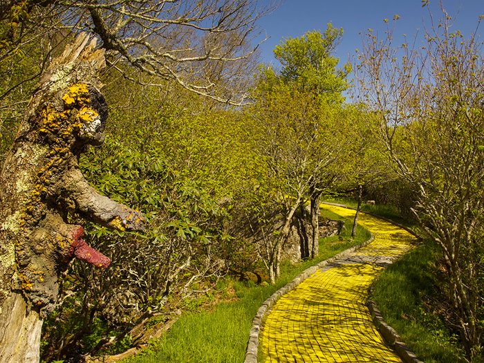Le parc d'attractions Land of Oz en Caroline du Nord est l'un des lieux abandonnés dans le monde.