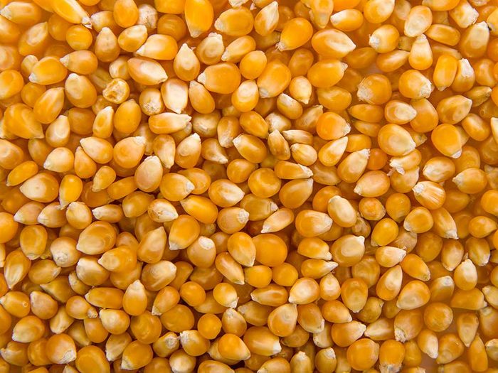 Une des erreurs que tout le monde fait en cuisant du popcorn : utiliser de vieux grains.
