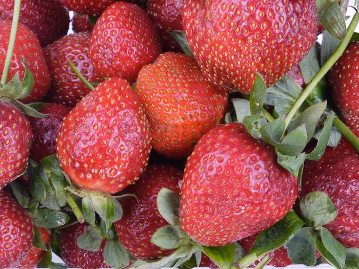 Les tiges et feuilles de fraises sont des résidus alimentaires bons à manger. 