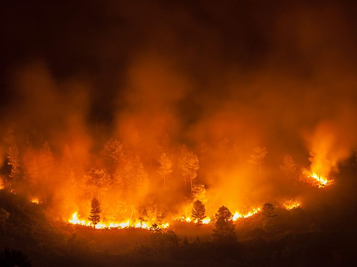 À cause des changements climatiques, on compte 8000 feux de forêt par an au Canada.
