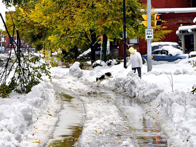 Prs dun demi-million de gens ont t privs dlectricit aprs la chute de 60 cm de neige sur la ville de Buffalo un vendredi 13.